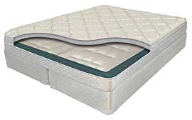 Luxury Support - Evolutions Adjustable Bed #2